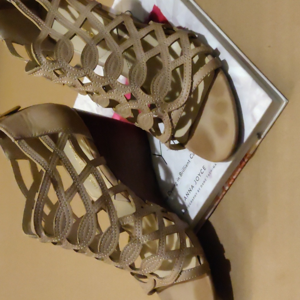Adrienne Vittadini wedge sandal